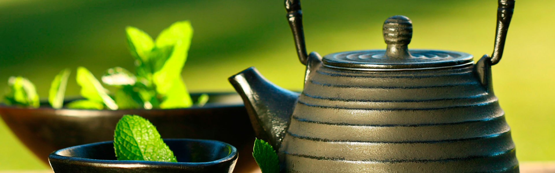 herbs-tea-pot